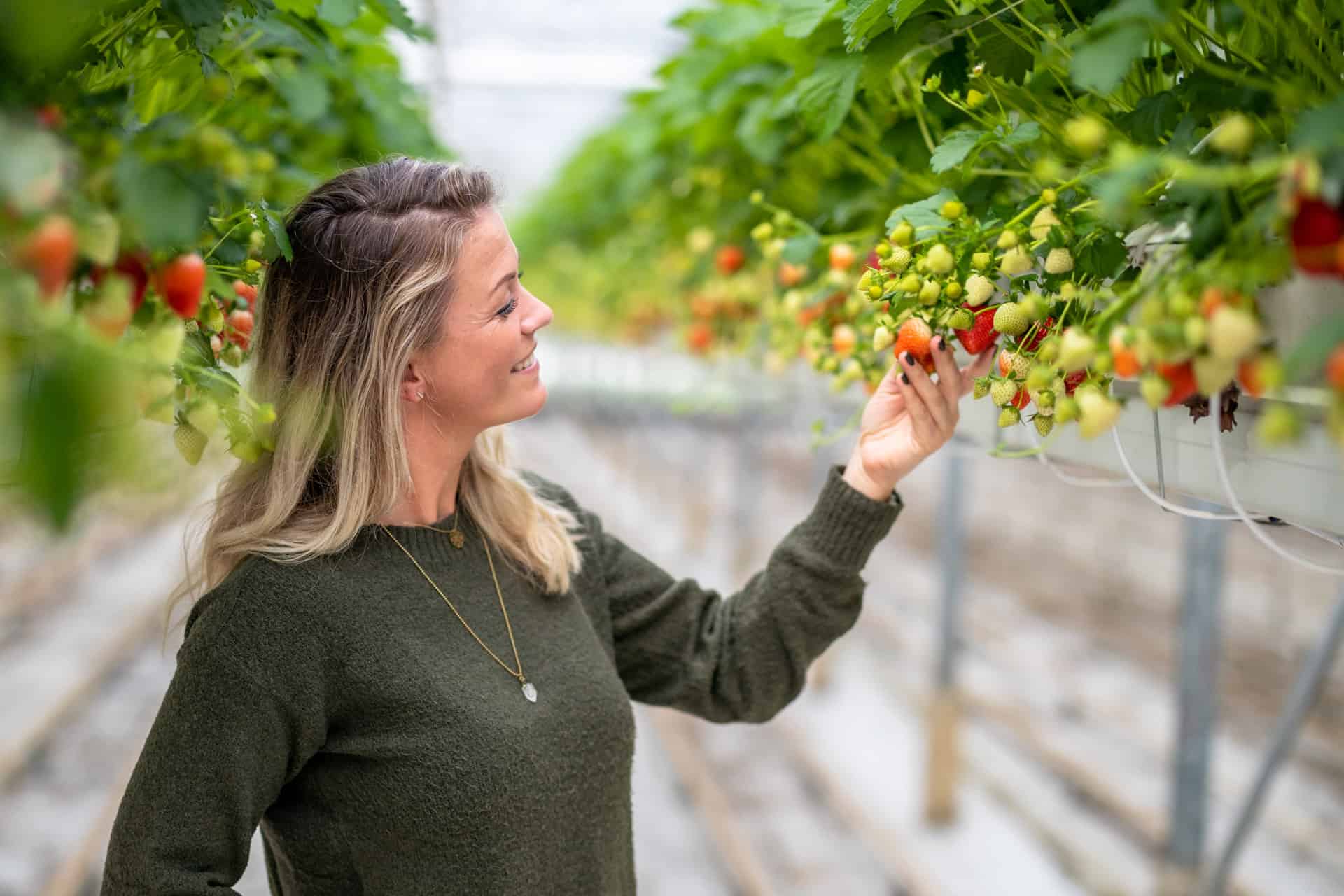 vrouw bij kas met aardbijen.